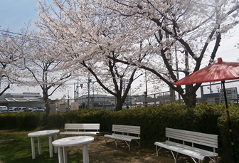 ２０１４年４月２日	お花見・団子